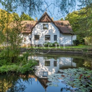 Prodej chaty 450 m² Hostomice