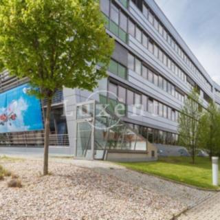 Pronájem kanceláře 700 m² Praha