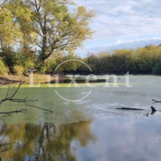 Prodej zemědělského objektu 600 m² Běrunice Vlkov nad Lesy