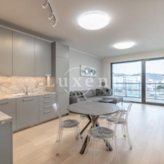 Pronájem bytu 2+kk 60 m² Praha Holešovice, Jankovcova