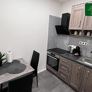 Prodej bytu 2+1 42 m² Česká Lípa, Havlíčkova