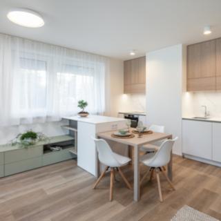 Prodej bytu 1+kk a garsoniéry 49 m² Praha Kamýk, Hodkovická