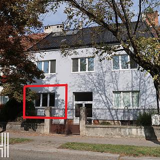 Pronájem bytu 1+1 48 m² Prostějov, Fanderlíkova