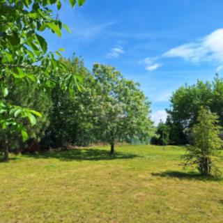 Pronájem stavební parcely 500 m² Přezletice