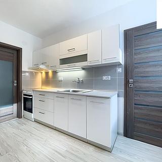 Pronájem bytu 2+1 50 m² Svitavy Předměstí, Kijevská