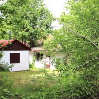 Prodej stavební parcely 1 277 m² Černovice Vlkosovice