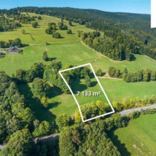 Prodej louky 7 133 m² Žacléř Bobr