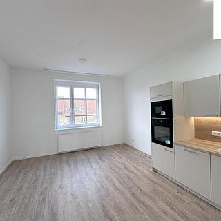 Pronájem bytu 2+kk 55 m² Praha Žižkov, Jeseniova