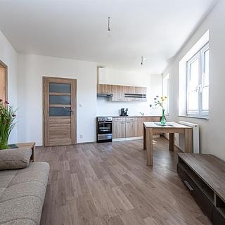 Prodej bytu 2+kk 41 m² Břežany II