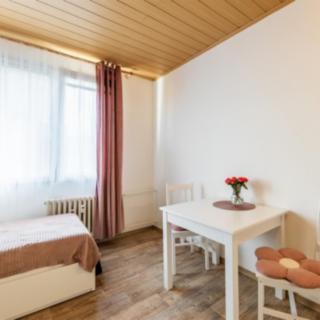 Prodej bytu 1+kk, garsoniery 20 m² Plzeň