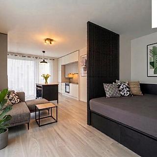 Pronájem bytu 1+kk a garsoniéry 38 m² Plzeň, Františka Kováříka