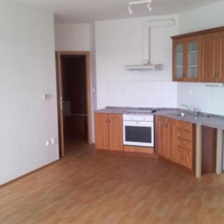 Pronájem bytu 1+kk a garsoniéry 36 m² Jihlava, Nad Jihlávkou