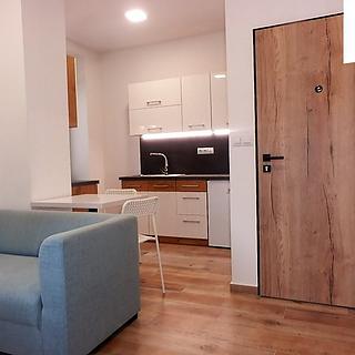 Pronájem bytu 1+kk a garsoniéry 26 m² Jihlava, Seifertova