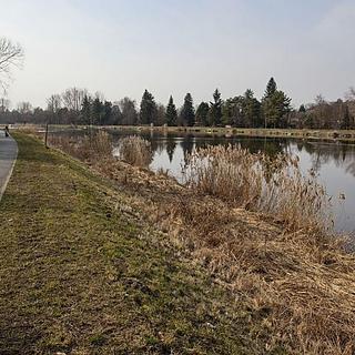 Prodej komerčního pozemku 4 264 m² Čelákovice, Přístavní