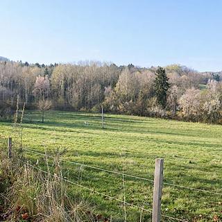 Prodej louky 2 808 m² Brloh