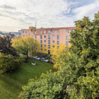 Pronájem bytu 1+1 33 m² Plzeň