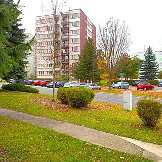 Prodej bytu 1+kk a garsoniéry 22 m² Humpolec, Lužická