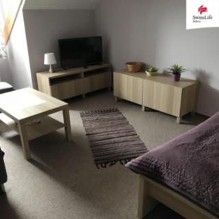 Pronájem bytu 1+1 40 m² Plzeň Východní Předměstí, Květná
