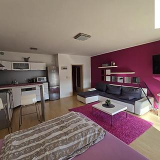 Pronájem bytu 1+kk, garsoniery 43 m&sup2; Praha