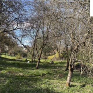 Prodej zahrady 905 m² Ústí nad Orlicí Hylváty
