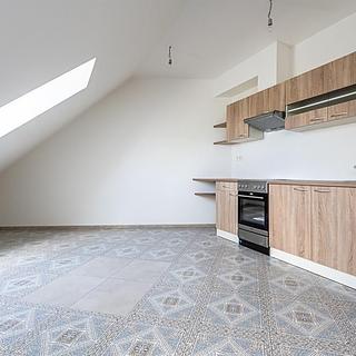 Prodej bytu 2+kk 57 m² Břežany II
