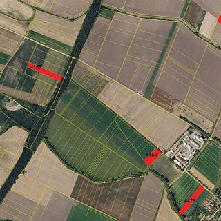 Prodej zemědělské půdy 75 919 m² Knínice