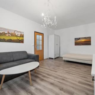 Pronájem bytu 1+1 41 m² Radvanice