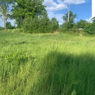 Prodej stavební parcely 1 012 m² Starý Jičín Dub