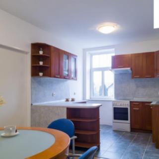 Pronájem bytu 1+1 44 m² Češov