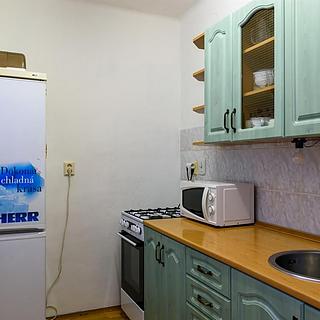 Pronájem bytu 3+1 54 m² Horní Benešov Luhy