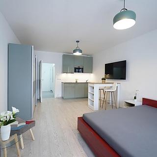 Pronájem bytu 1+kk a garsoniéry 34 m² Praha Libeň, Sokolovská