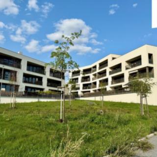 Pronájem bytu 1+kk, garsoniery 45 m² Plzeň