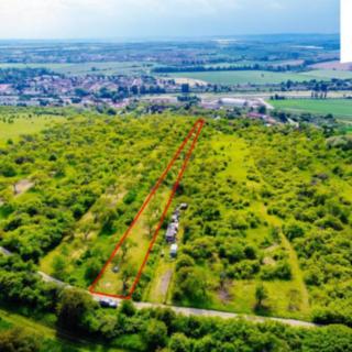 Prodej komerčního pozemku 3876 m² Židlochovice