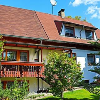 Prodej rodinného domu 400 m² Černovice, Husovy sady