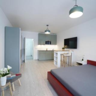 Pronájem bytu 1+kk, garsoniery 34 m² Praha