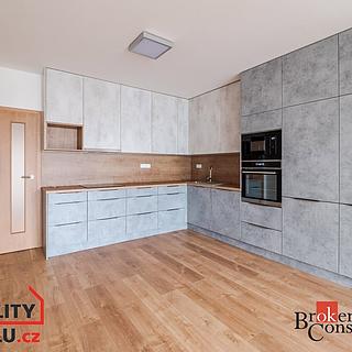 Pronájem bytu 3+kk 67 m² České Budějovice 5, Františka Jelena