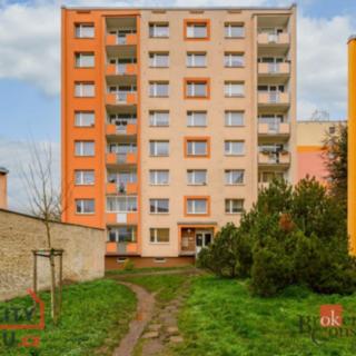 Pronájem bytu 3+1 67 m² Jílové