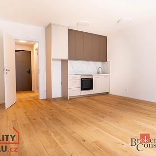Pronájem bytu 1+kk, garsoniery 37 m² Brno