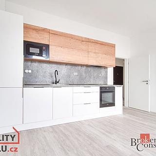 Pronájem bytu 2+kk 49 m² České Budějovice 2, K Šindlovým Dvorům