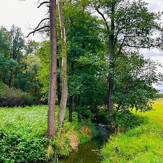 Prodej louky 1 277 m² Rybníky