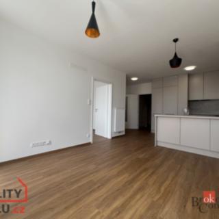 Pronájem bytu 2+kk 49 m² Plzeň