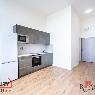 Prodej bytu 1+kk a garsoniéry 23 m² Ostrava Přívoz, Palackého