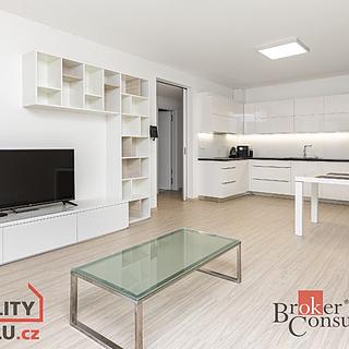 Pronájem bytu 3+kk 85 m² Praha Michle, U michelského mlýna