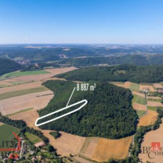 Prodej lesa 8 887 m² Lomnička