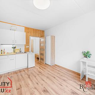 Pronájem bytu 1+kk a garsoniéry 19 m² Plzeň Doubravka, Na Dlouhých