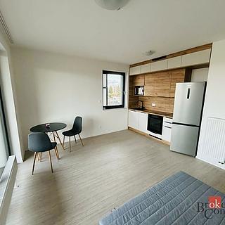 Pronájem bytu 1+kk a garsoniéry 30 m² Plzeň Východní Předměstí, Kartónová