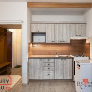 Prodej bytu 1+1 36 m² Ostrava, Výškovická