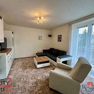 Pronájem bytu 3+1 75 m² Plzeň Lobzy, Ke Kukačce