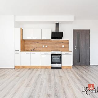 Pronájem bytu 1+kk a garsoniéry 36 m² Heřmanova Huť Vlkýš, U Pondu