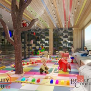 Prodej bytu 1+kk a garsoniéry 31 m² Černý Důl